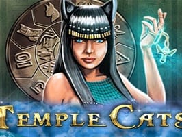 Temple Cats screenshot